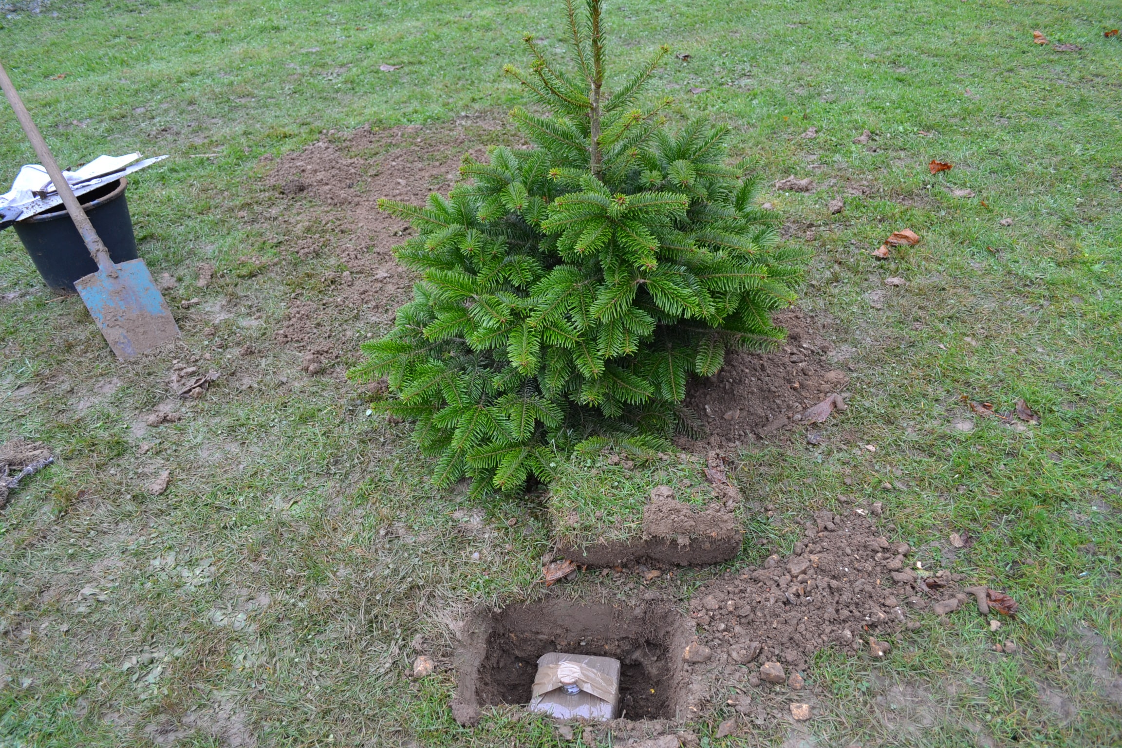 sapin 2 min